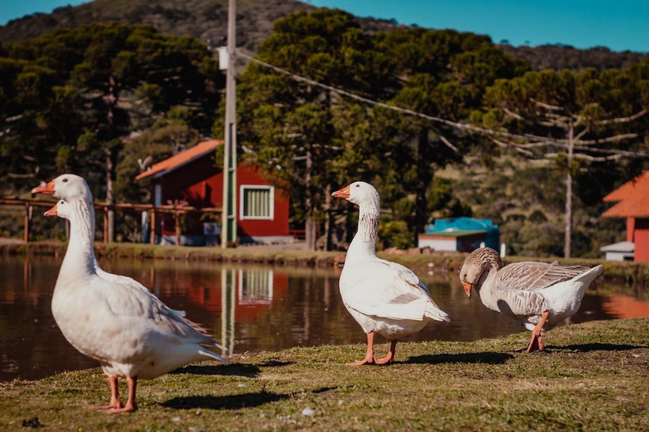 Pousada Lago Da Colina Urubici Extérieur photo